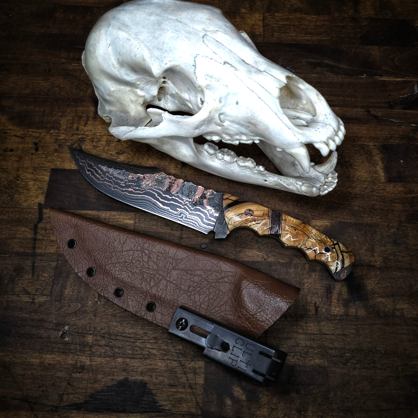 Modified Bowie