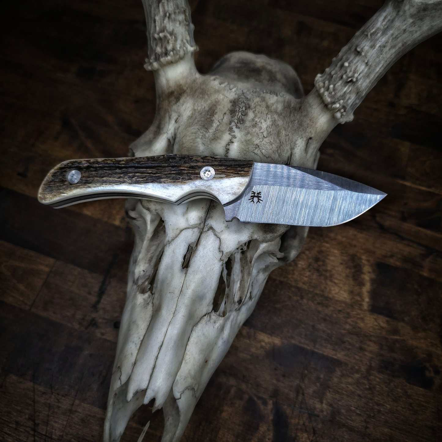 Kodiak Cub Knife PRE ORDER
