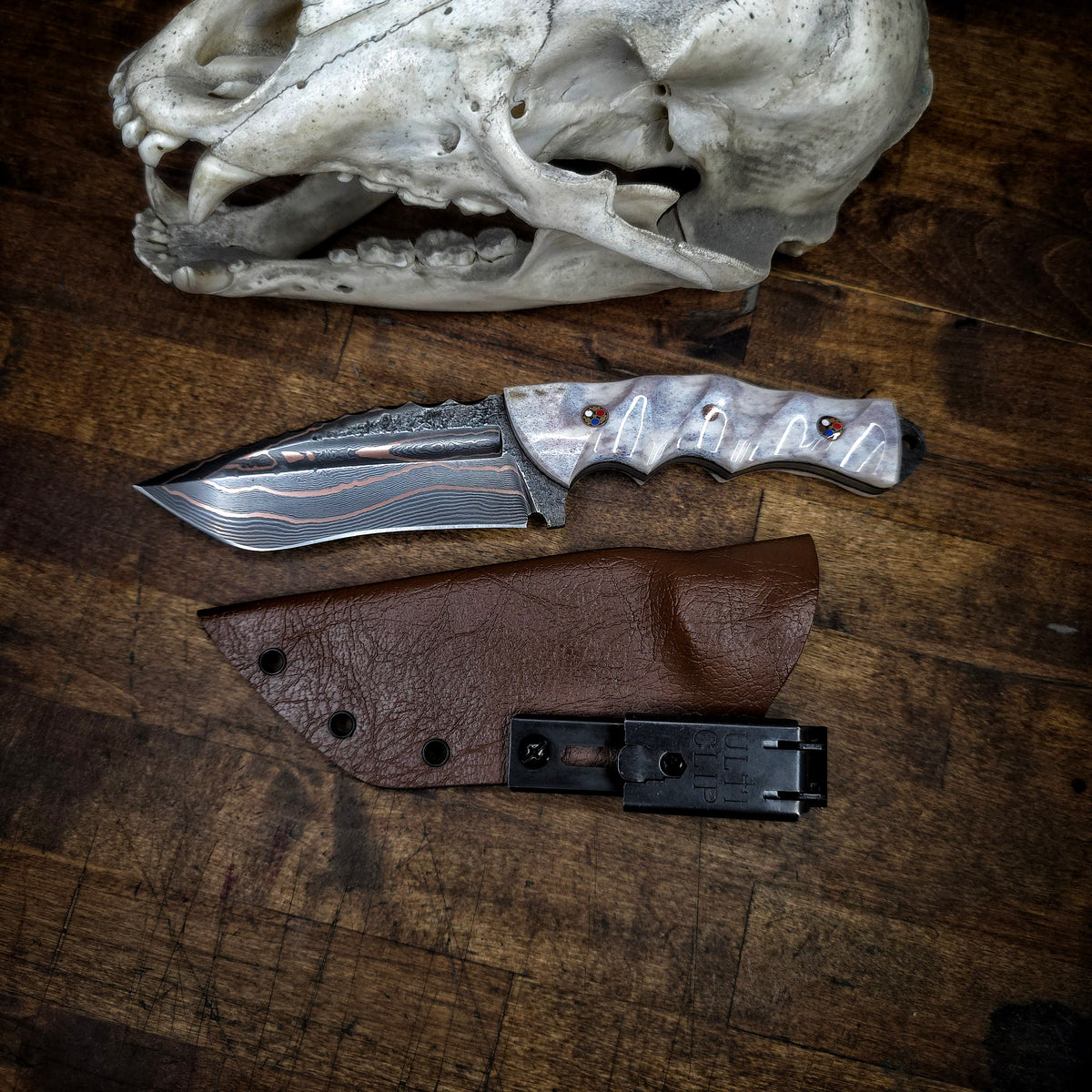 Kodiak 2.0
