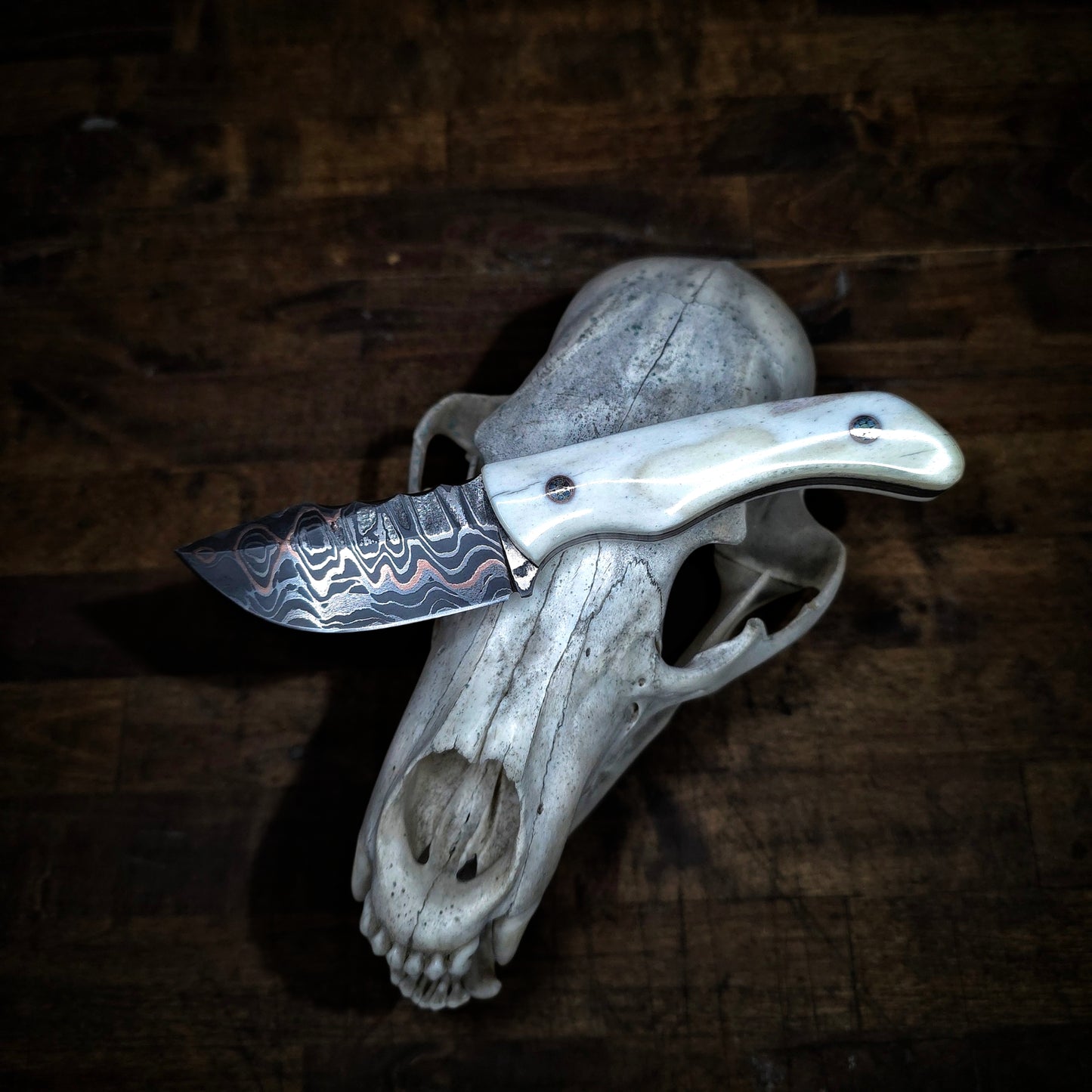 EDC Buffalo