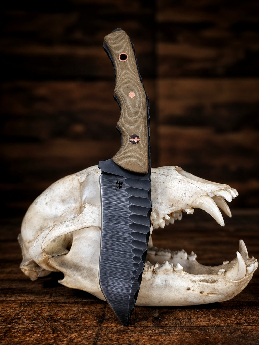 Kodiak 2.0