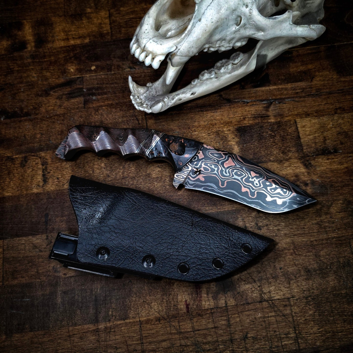 Modified Kodiak