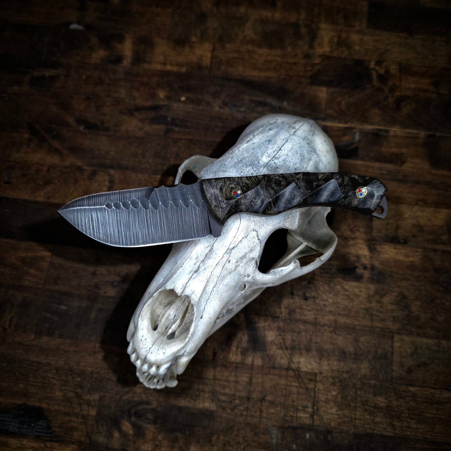 EDC Hunter