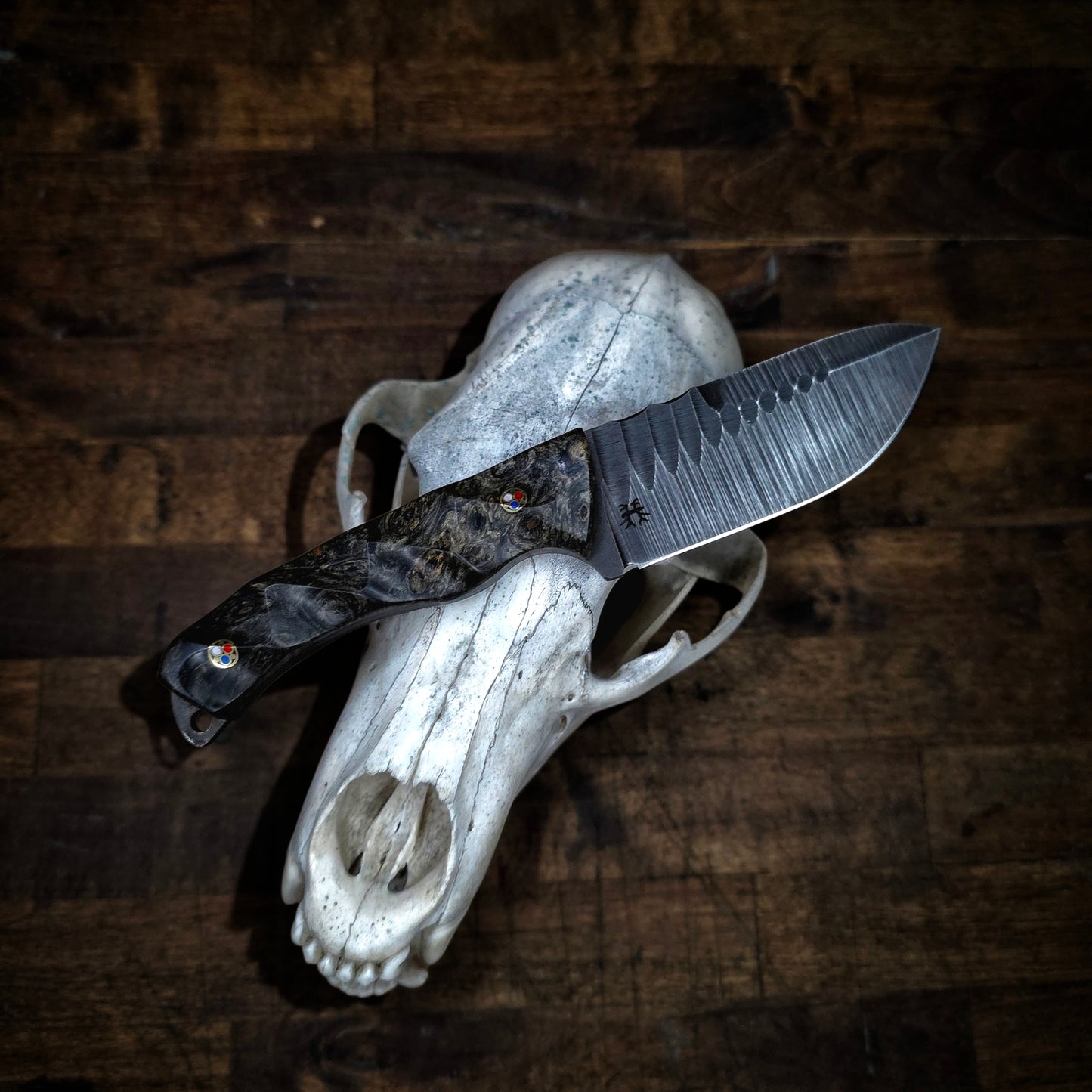 EDC Hunter